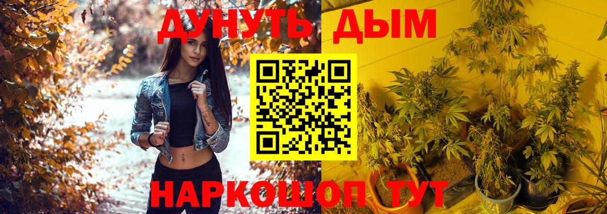 Бошки Шишки конопля Гусиноозёрск